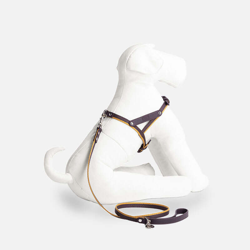 Pet Collection - Harness